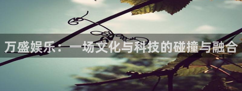 壹号大舞台：万盛娱乐：一场文化与科技的碰撞与融合