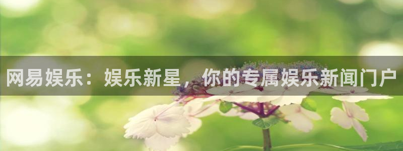 益达娱乐app：网易娱乐：娱乐新星，你的专属娱乐新闻门户