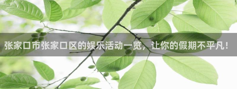 益达娱乐是真的吗：张家口市张家口区的娱乐活动一览，让你的假期不平凡！