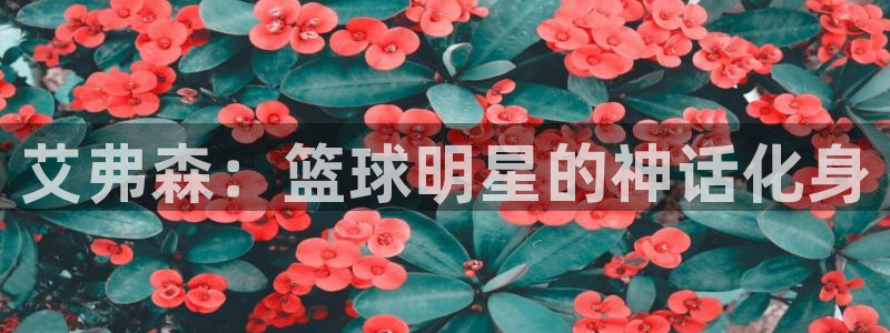 壹号电子娱乐app下载最新版：艾弗森：篮球明星的神话化身