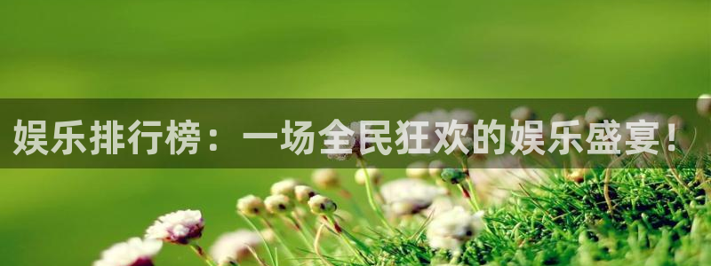 益达娱乐平台官网版下载：娱乐排行榜：一场全民狂欢的娱乐盛宴！