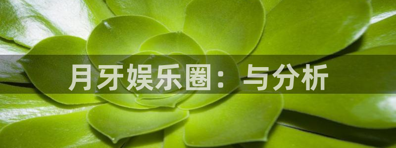 益达娱乐app哪个模式容易赢：月牙娱乐圈：与分析