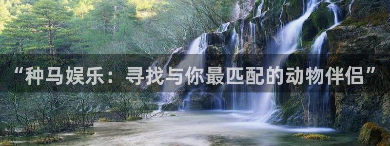 益达娱乐有梦你就来：“种马娱乐：寻找与你最匹配的动物伴侣”