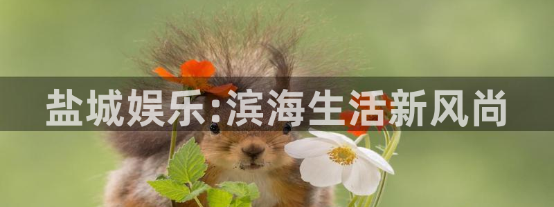 益达娱乐app下载：盐城娱乐:滨海生活新风尚